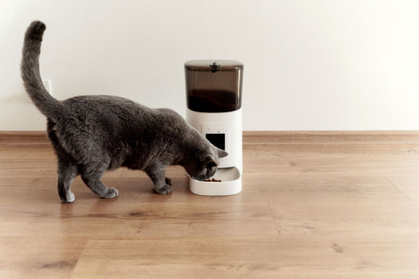 A grey cat eats some cat food from a smart feeder. 